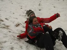 Švýcarák 21.-23.1.2011