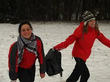 Švýcarák 21.-23.1.2011