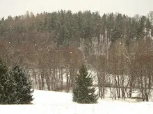 Švýcarák 21.-23.1.2011