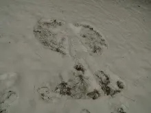 Švýcarák 21.-23.1.2011