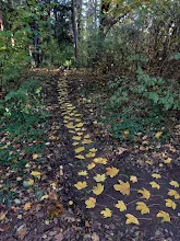 Říjnová výprava 2023