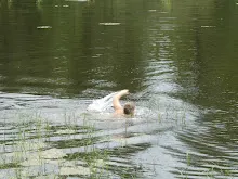 Letní tábor 2024