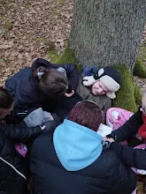 Listopadová výprava 2024