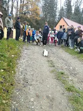 Listopadová výprava 2024
