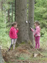 Letní tábor 2025