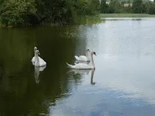 Letní tábor 2025