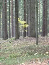 Zlatá Koruna 21.-23.10.2011