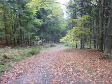 Zlatá Koruna 21.-23.10.2011