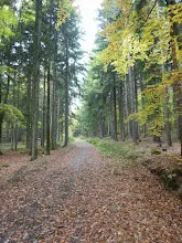 Zlatá Koruna 21.-23.10.2011
