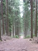 Kluk 29.12.2011