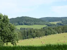 Letní tábor 2011 - Masajové