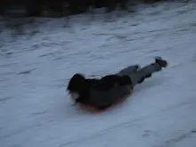 Švýcarák 20. - 22.1.2012