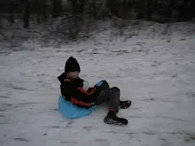Švýcarák 20. - 22.1.2012
