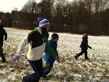 Švýcarák 20. - 22.1.2012
