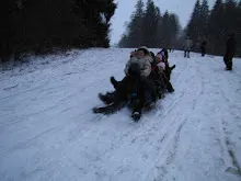 Švýcarák 20. - 22.1.2012