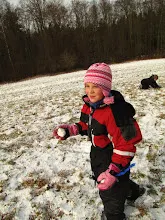 Švýcarák 20. - 22.1.2012