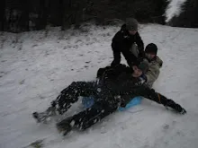 Švýcarák 20. - 22.1.2012