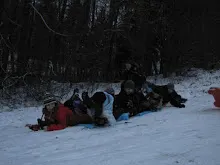 Švýcarák 20. - 22.1.2012
