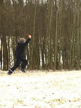 Švýcarák 20. - 22.1.2012