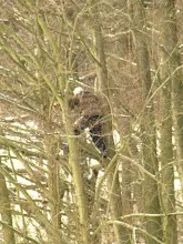 Švýcarák 20. - 22.1.2012