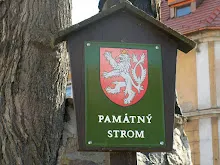 Zlatá Koruna 24. - 26.2.2012