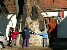 Zlatá Koruna 24. - 26.2.2012