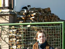 Zlatá Koruna 24. - 26.2.2012