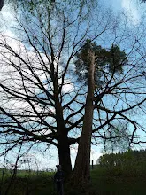 Pořešín 25.-27.4.2014