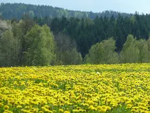 Pořešín 25.-27.4.2014