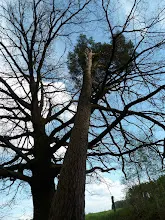 Pořešín 25.-27.4.2014