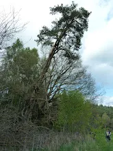 Pořešín 25.-27.4.2014