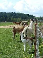 Pořešín 25.-27.4.2014