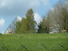 Pořešín 25.-27.4.2014