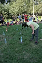 Letní tábor 2016 - Vikingové