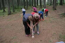 Letní tábor 2016 - Vikingové