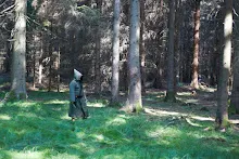 Letní tábor - Řekové 2017