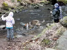 Výprava Švýcarák - 26.-28.1.2018