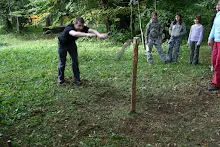 HvNH 2010