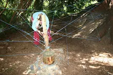 HvNH 2010