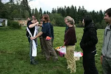 HvNH 2010