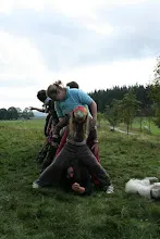 HvNH 2010