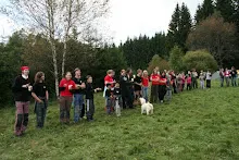 HvNH 2010