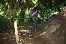 HvNH 2010