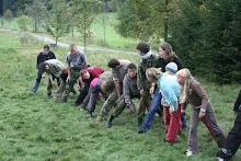 HvNH 2010
