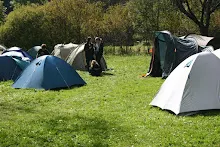HvNH 2010