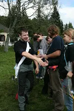 HvNH 2010
