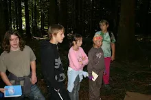 HvNH 2010
