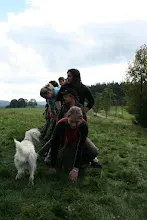 HvNH 2010