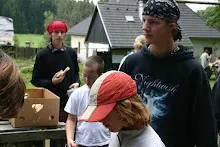HvNH 2010