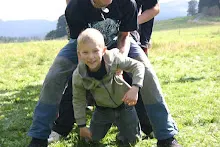 HvNH 2010